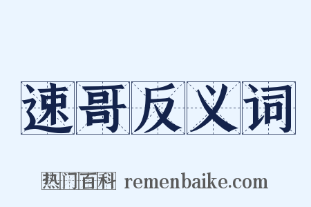 速哥反义词是什么意思的图片